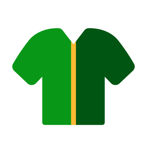 la chemise Icône gratuit