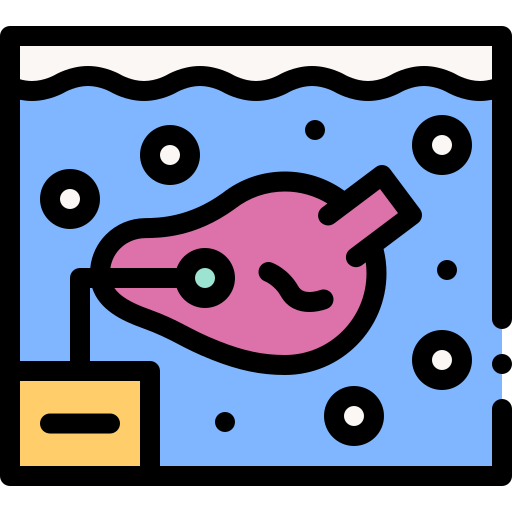 organes Icône gratuit