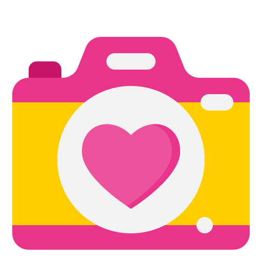 Camera srip Flat icon