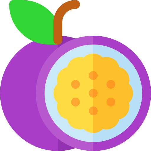 Passion fruit Basic Rounded Flat icon