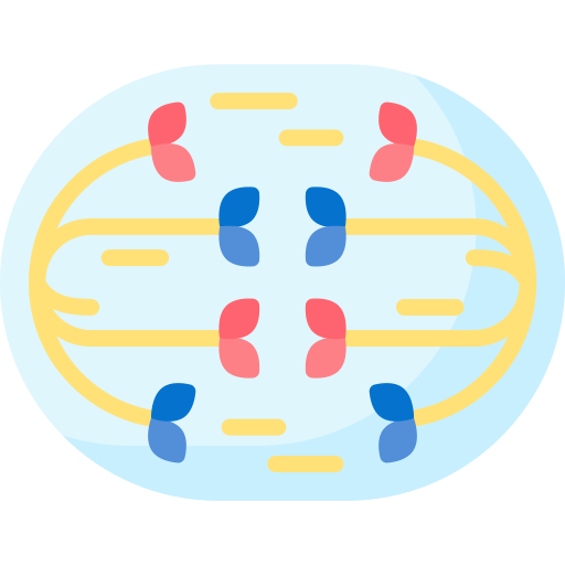 Anaphase free icon Anaphase free icon