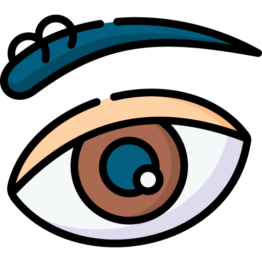 Eyebrow Special Lineal color icon