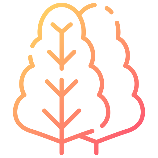 salat kostenlos Icon