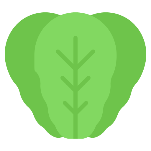 salat kostenlos Icon
