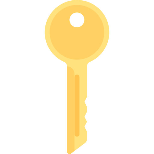 Key Special Flat icon