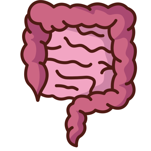 Intestine Generic Outline Color icon