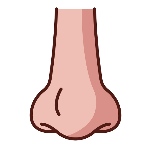 Nose Generic Outline Color icon