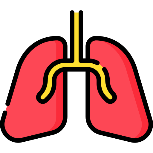 Lungs Special Lineal color icon