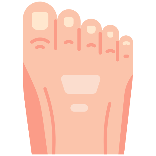 Toe - Free healthcare and medical icons