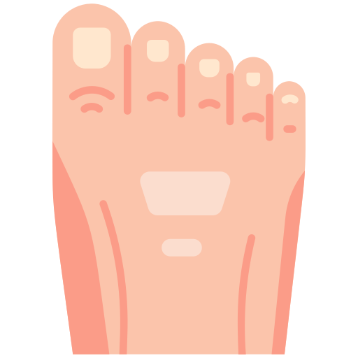 Toe Generic Flat icon