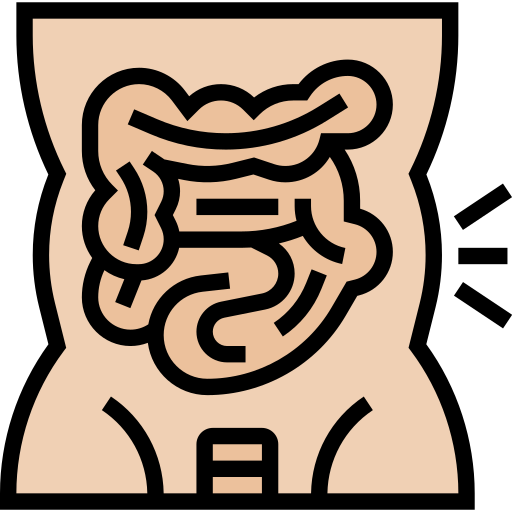 Abdominal free icon