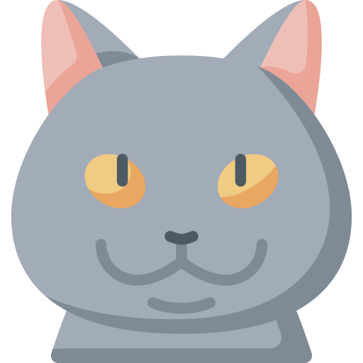 British shorthair free icon British shorthair free icon