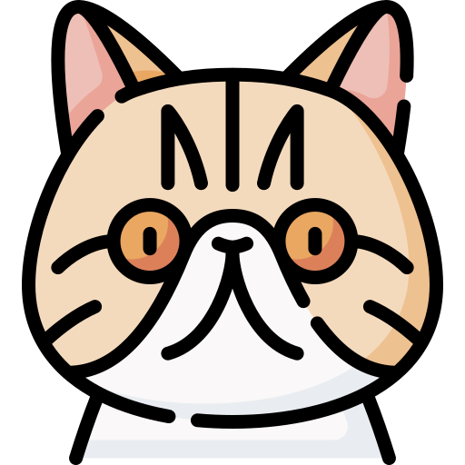 Exotic shorthair free icon Exotic shorthair free icon