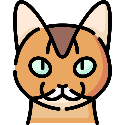 Somali cat free icon Somali cat free icon