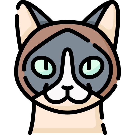 Snowshoe free icon Snowshoe free icon