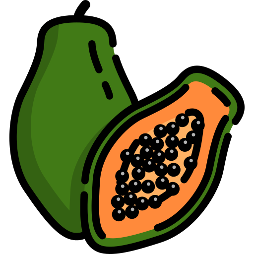 Papaya Generic Outline Color icon