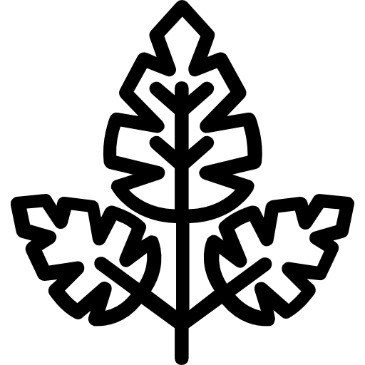 Leaf free icon