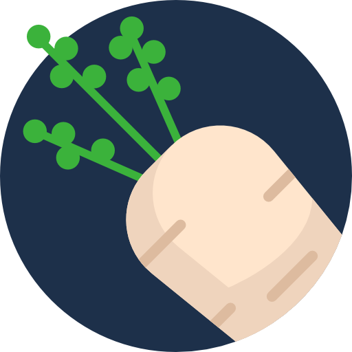 Turnip free icon Turnip free icon
