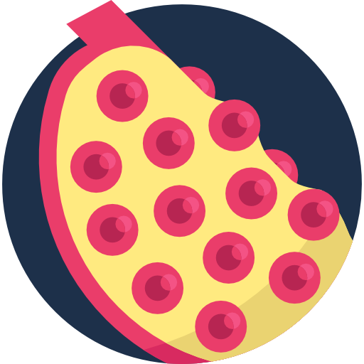 Граната бесплатно иконка