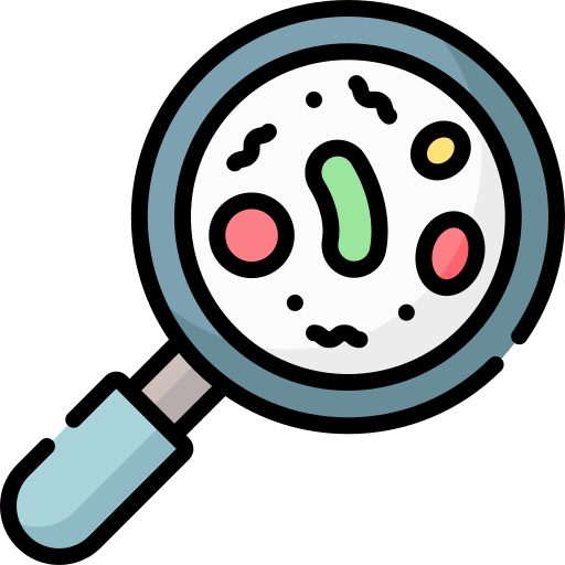rechercher Icône gratuit