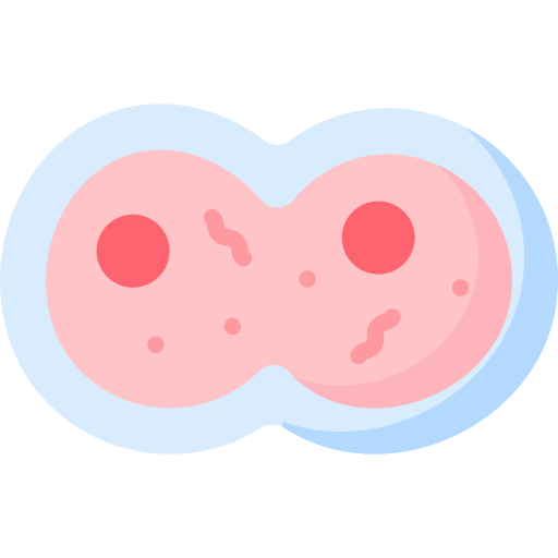 유사 분열 무료 아이콘 유사 분열 무료 아이콘