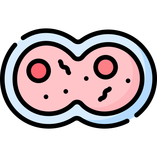 mitosis icono gratis