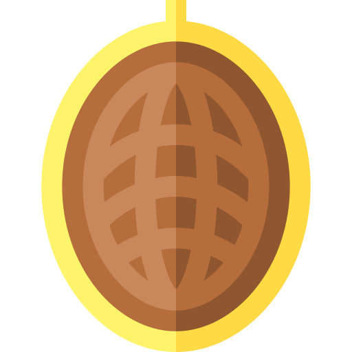 Cocoa bean Basic Straight Flat icon