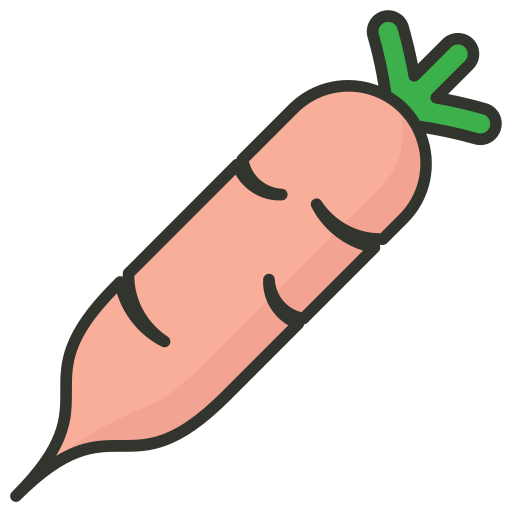 daikon grátis ícone daikon grátis ícone