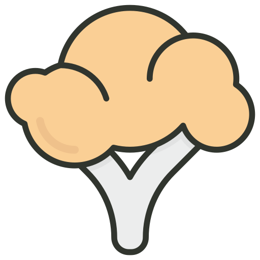 Cauliflower free icon Cauliflower free icon