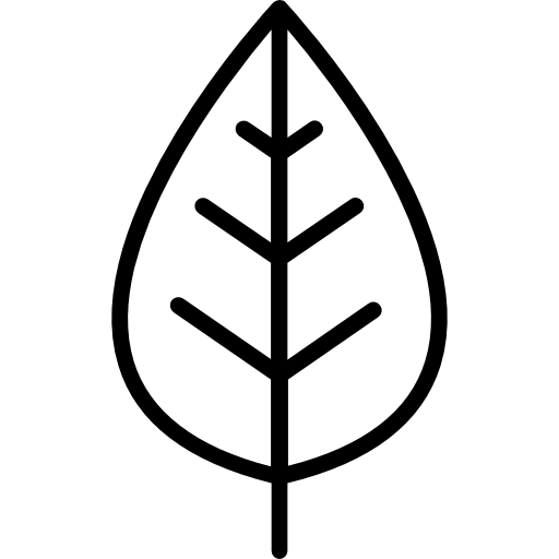 Leaf free icon