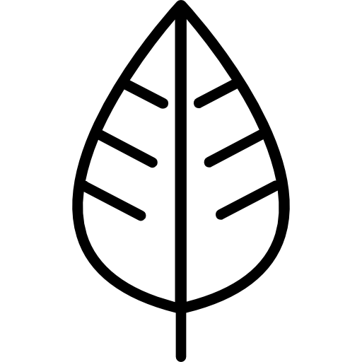 Leaf free icon