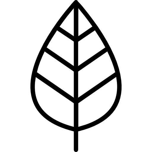 Leaf free icon