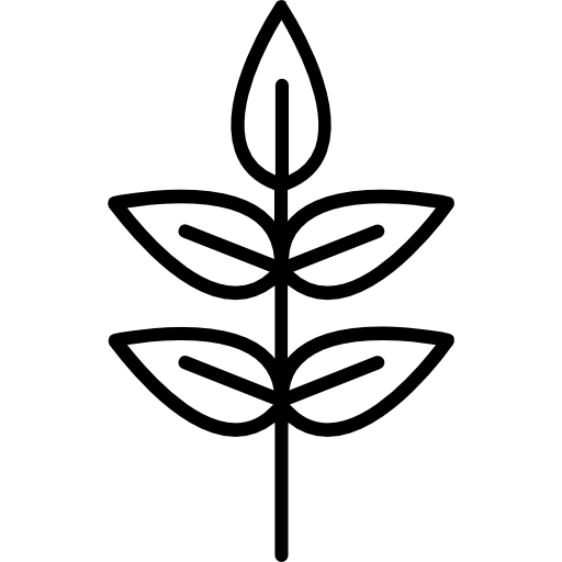Leaf free icon