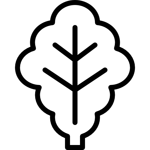 Салат бесплатно иконка Салат бесплатно иконка