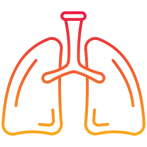 Lungs Generic Gradient icon