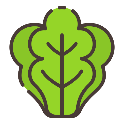 lechuga icono gratis