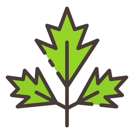 Parsley free icon