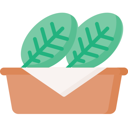 Spinach free icon