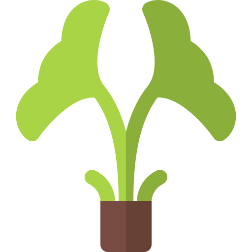 Ginkgo free icon Ginkgo free icon