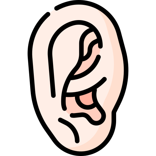 Ear Special Lineal color icon