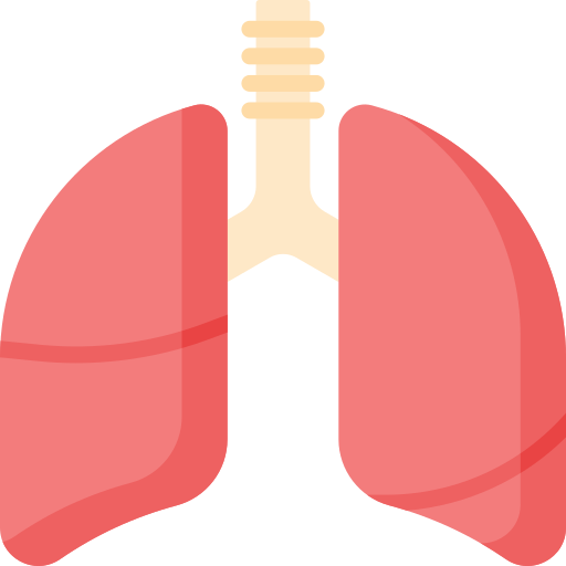 pulmones icono gratis