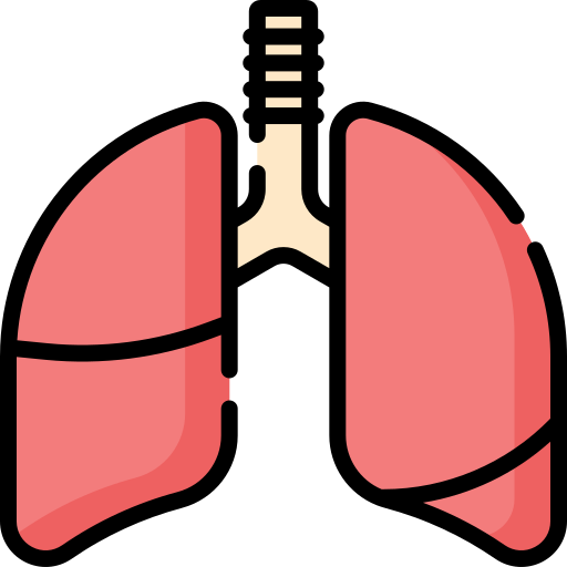 pulmones icono gratis