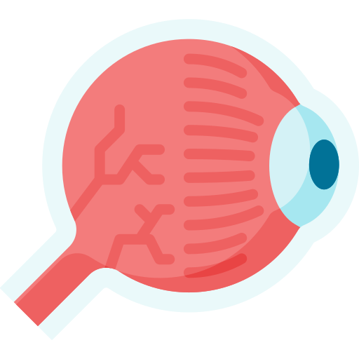 auge kostenlos Icon