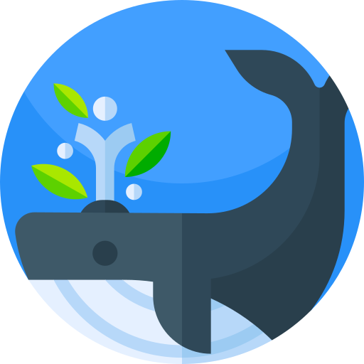 Whale free icon Whale free icon