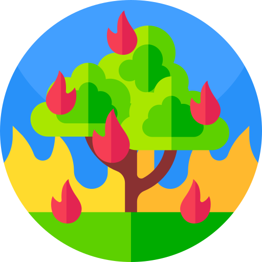 incendio forestal icono gratis