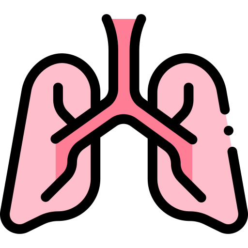 Lung Detailed Rounded Lineal color icon