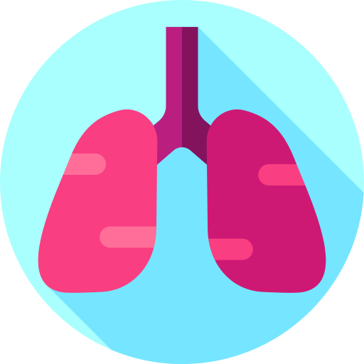 Lungs Flat Circular Flat icon