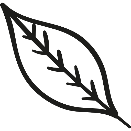 Листок иконка. Чайный лист вектор. Чайный лист рисунок. Веточка листьев контур.