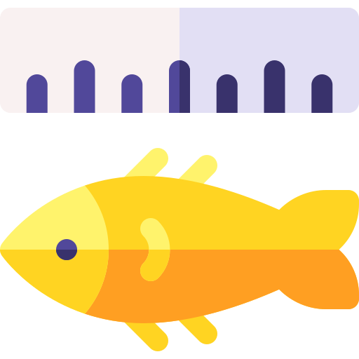 größe kostenlos Icon