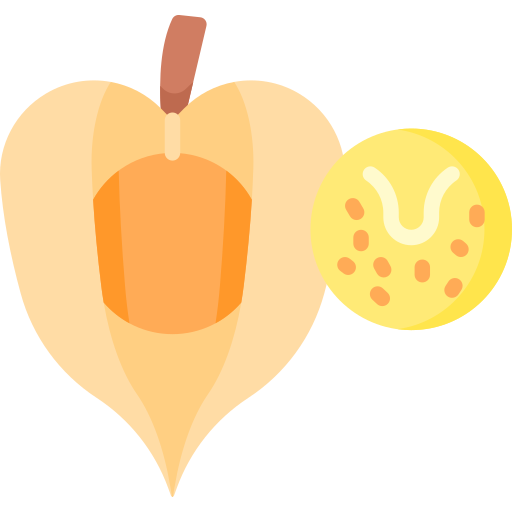 physalis Icône gratuit physalis Icône gratuit